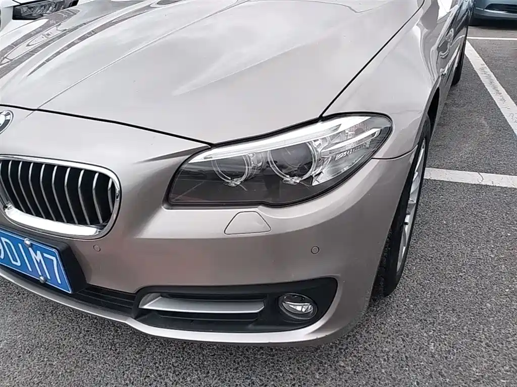 BMW 5 Series 2014 520Li Elegance фото 24