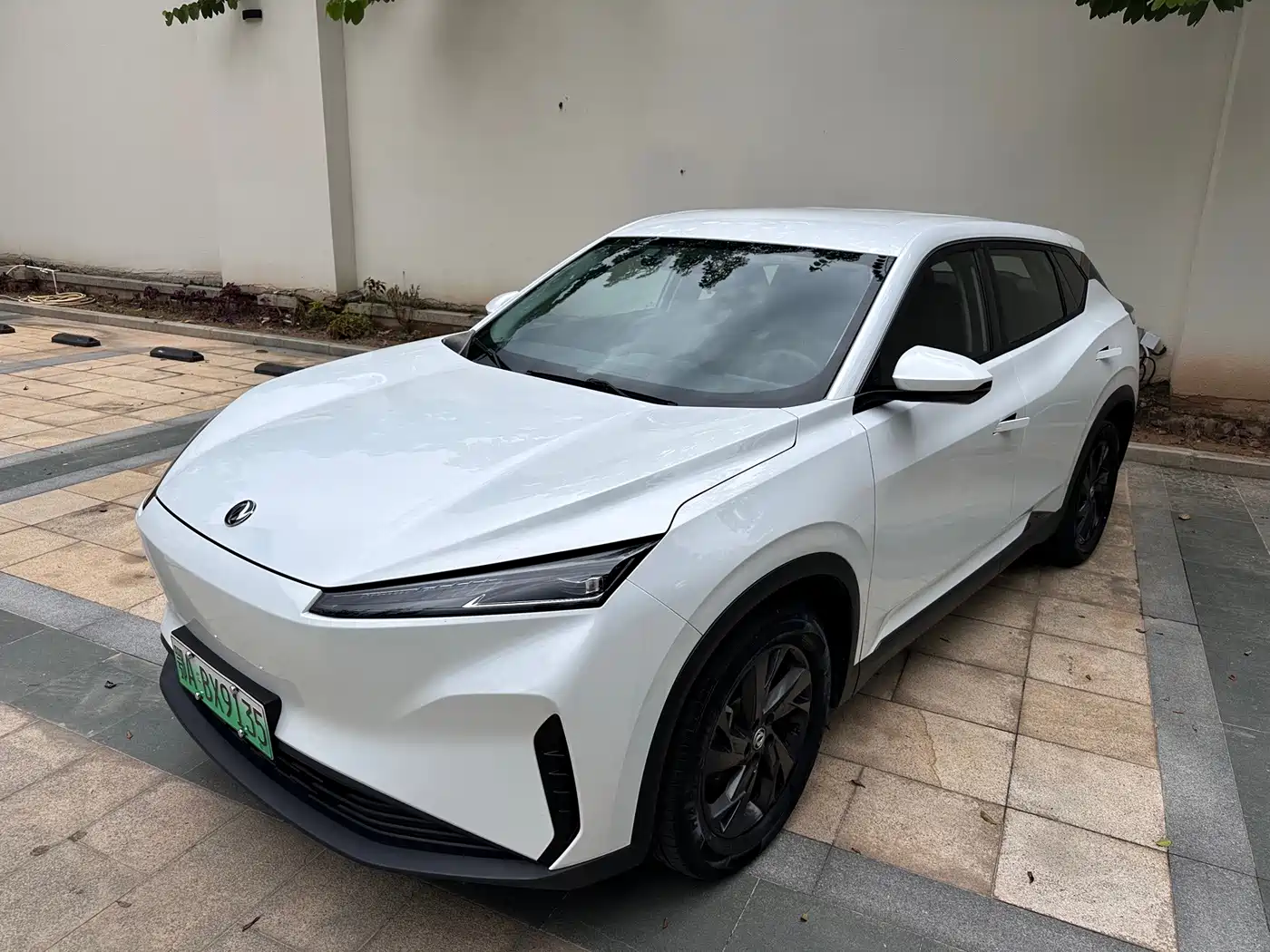 Dongfeng Aeolus SKY EV01 2024 2024 445km PRO