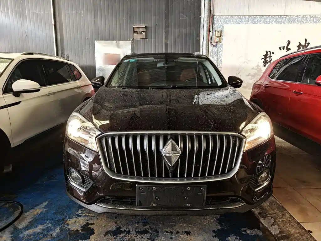 2019 Borgward BX7