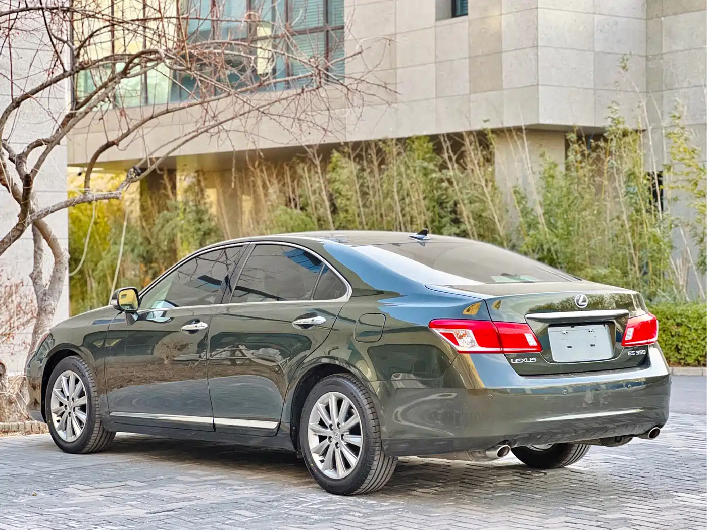 Lexus ES 2010 350 Premium Edition фото 18