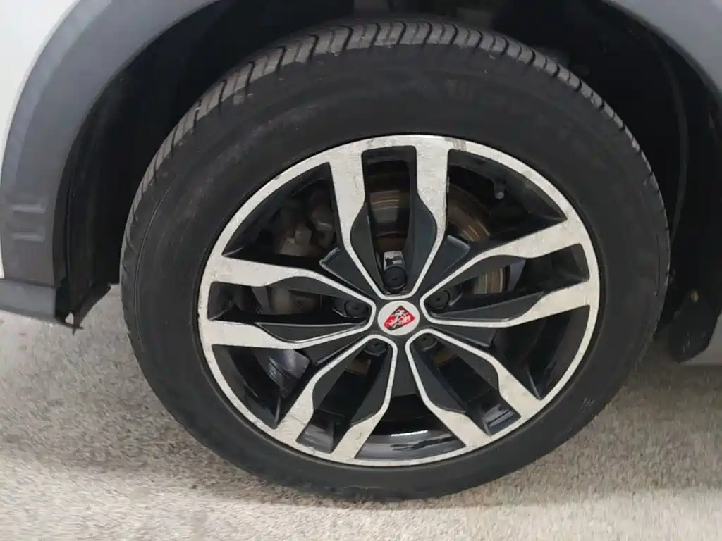 Фото 23 - Roewe RX5
