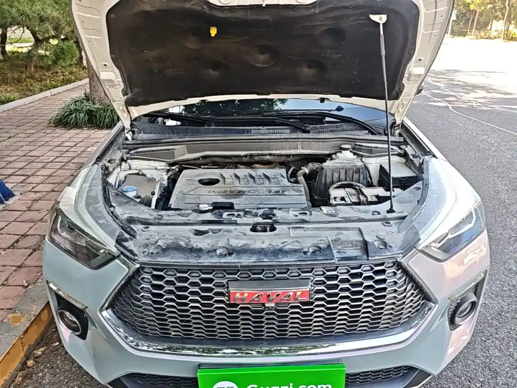 Haval H6 Coupe 2020 2020 Smart Connect Edition 1.5T Automatic 2WD Elite