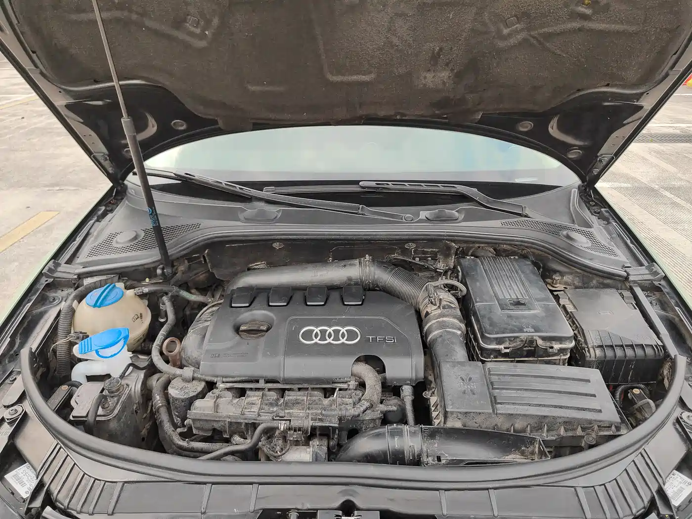 Audi A3 (Import) 2011 2010 Sportback 1.8T Luxury Model