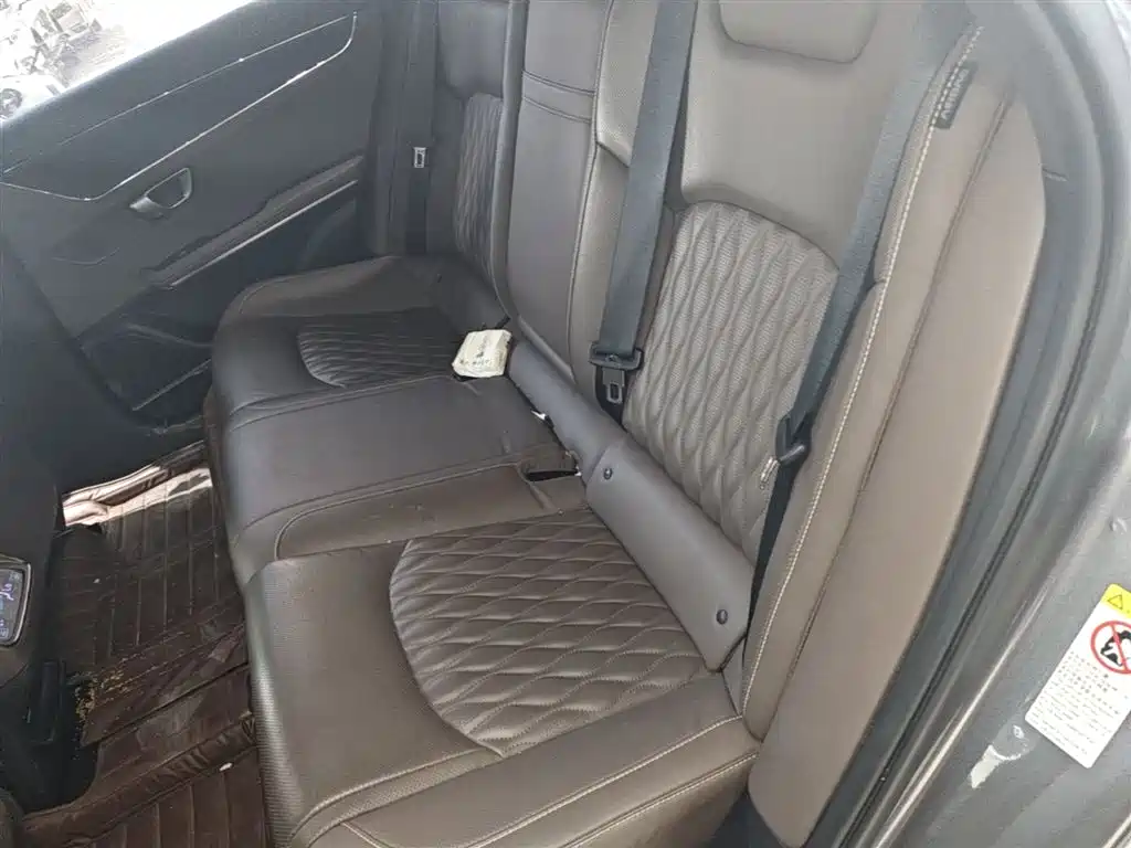 BYD Han 2020 EV Extended Range Premium фото 13