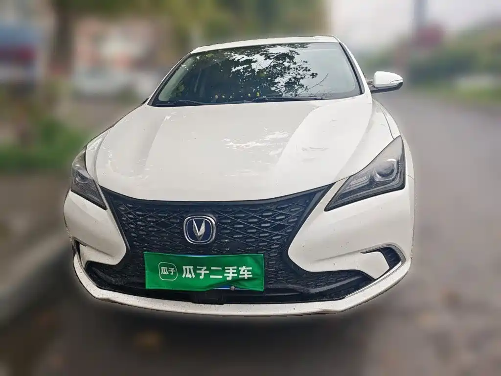 Фото 2 - Changan Eado