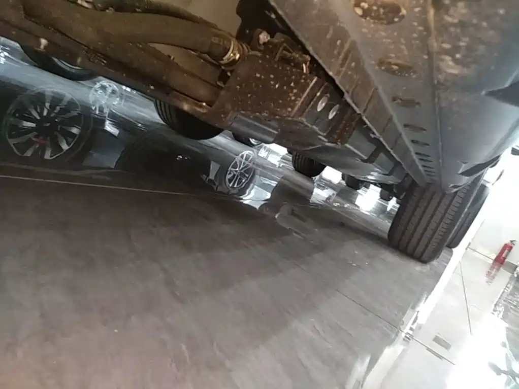 Haval Raptor 2026 2025 Model Base Version