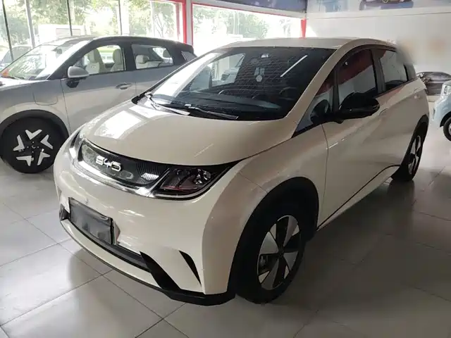 BYD Dolphin 420km, Свобода