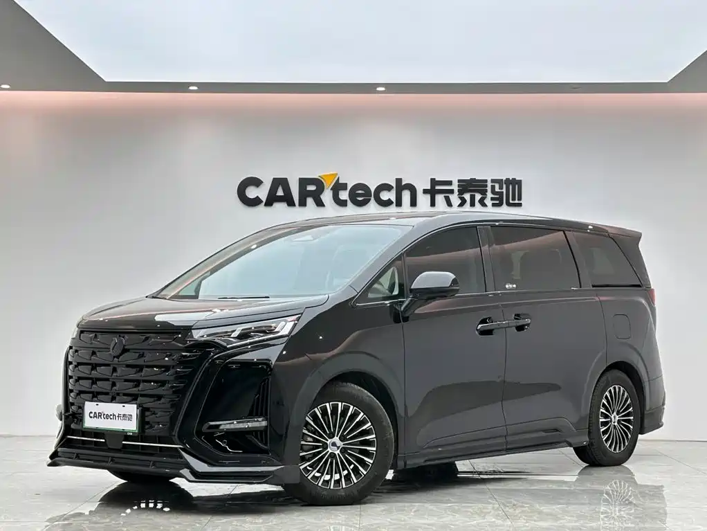 DENZA D9