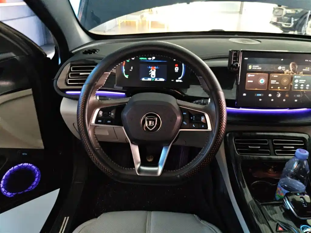 BYD Qin PLUS 2023 Champion Edition DM-i 55KM Leading фото 11