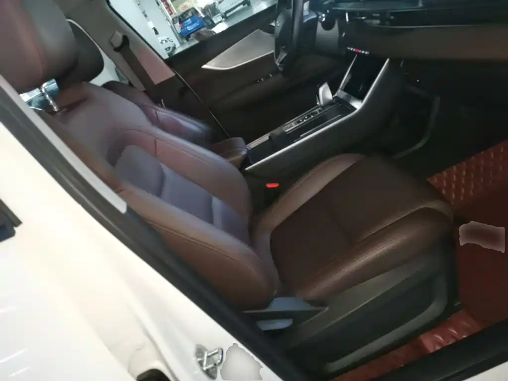 Chery Tiggo 7 2024 2024 1.5T CVT Premium Edition