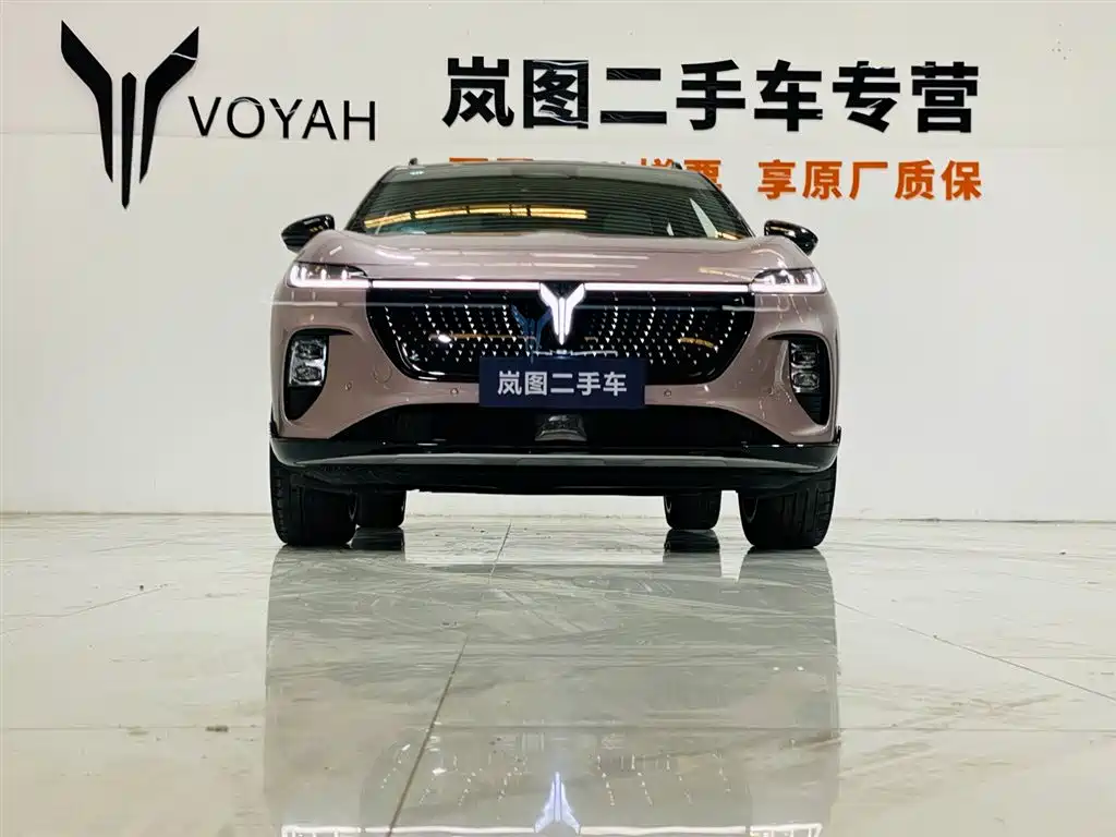 Voyah Auto Voyah Zhiyin 2024 4WD Global Edition фото 2