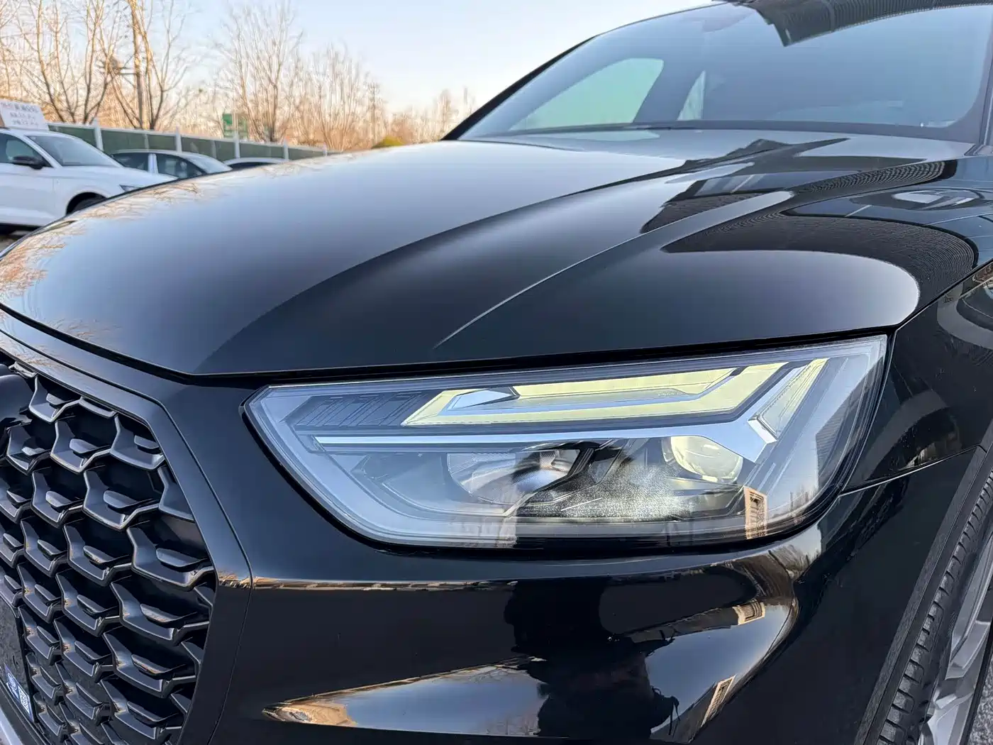 Audi Q5L Sportback 2023 40 TFSI Luxury Style фото 5