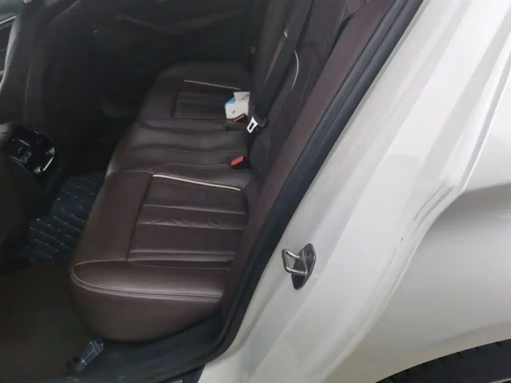 BMW 5 Series 2019 530Li Premium Luxury Package фото 17