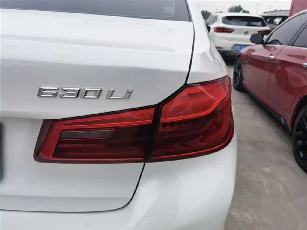 BMW 5 Series 2019 530Li Premium Luxury Package фото 8