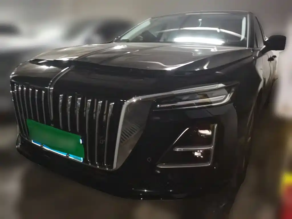 Фото 1 - Hongqi H5