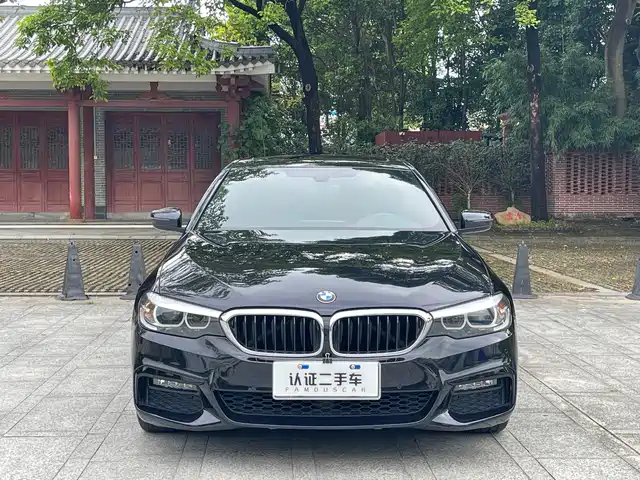 BMW 5 Series (Import) 2019 525i M Sport Package — фото 2