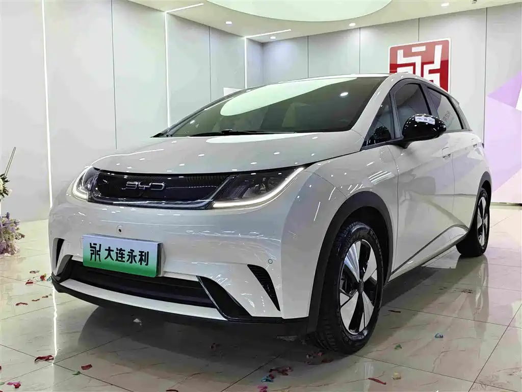BYD Dolphin 2023 — пригон из Китая