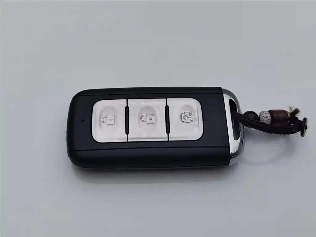 DONGFENG SCENERY 500