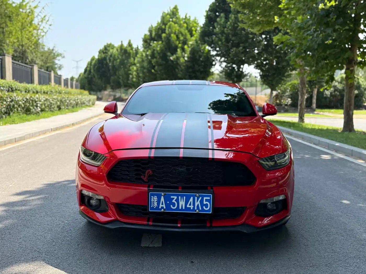 Ford Mustang 2015 2015 2.3T 50th Anniversary Edition