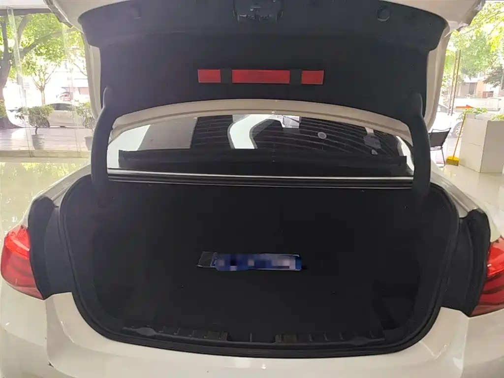 BMW 3 Series 2018 320Li Fashion Style фото 19