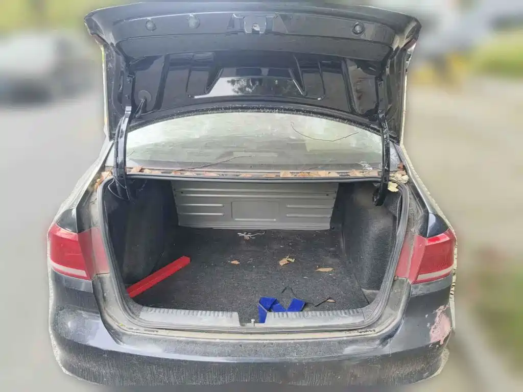 صورة 13 - Volkswagen Santana