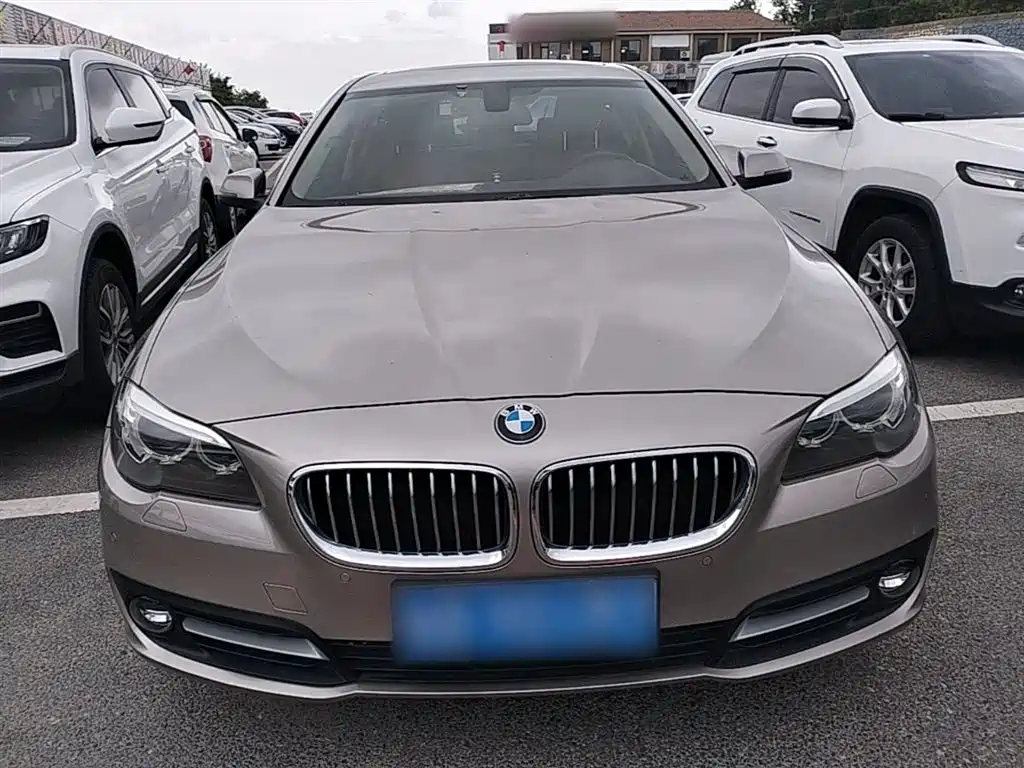 BMW 5 Series 2014 520Li Elegance фото 3