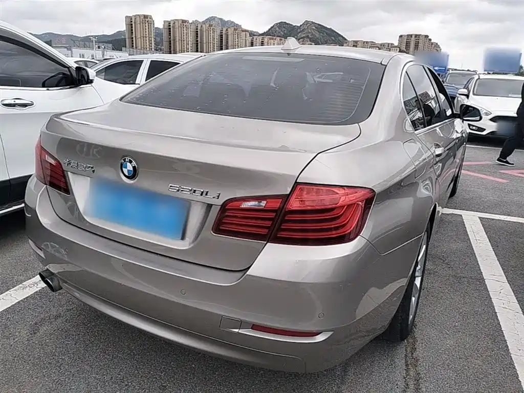 BMW 5 Series 2014 520Li Elegance фото 7