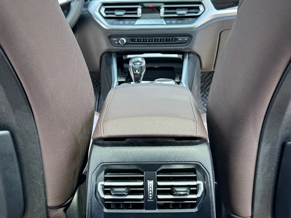 BMW 3 Series 2020 325Li Launch Edition фото 15