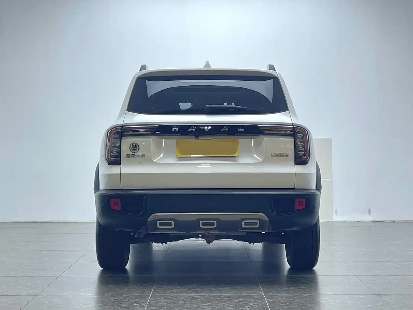 Haval Big Dog 2021 1.5T DCT 2WD Labrador Edition фото 4