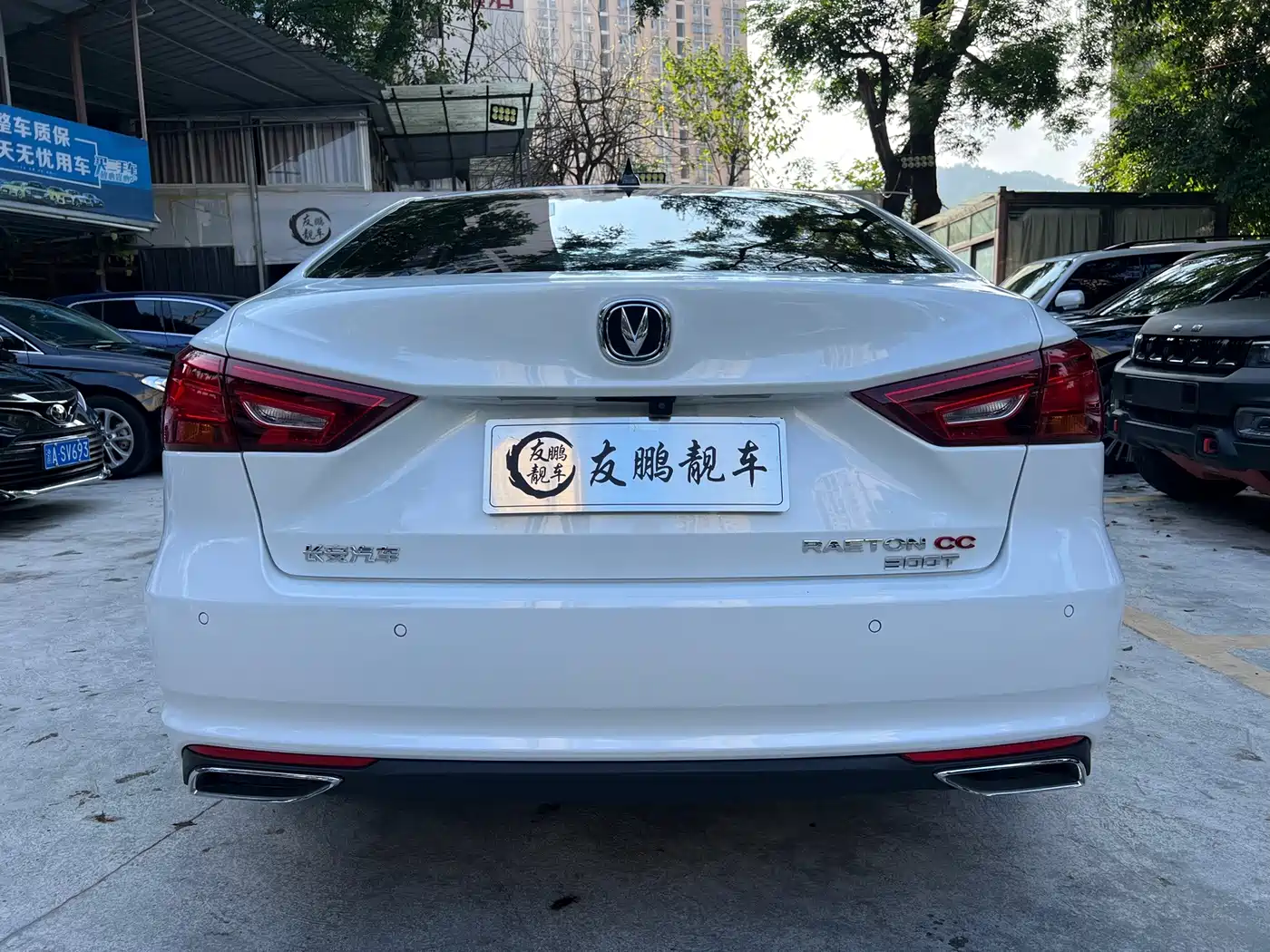 Changan Ruicheng CC 2022 2022 Blue Whale Edition 1.5T DCT Luxury
