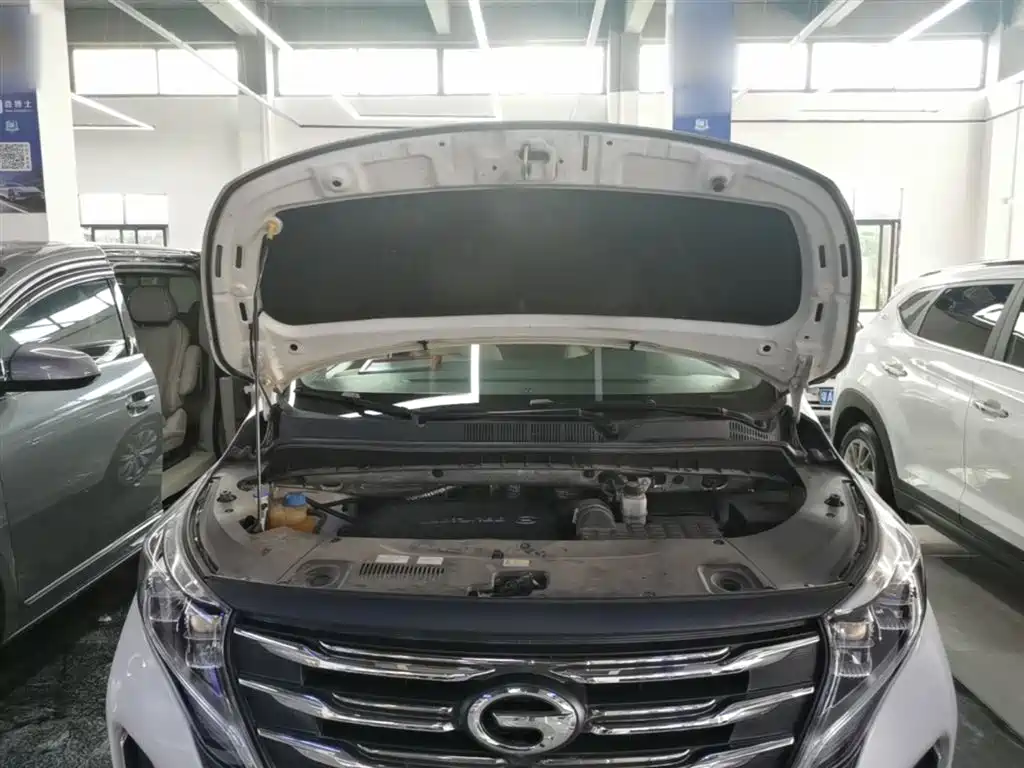 GAC Trumpchi Trumpchi M8 2020 Pilot 390T Luxury Edition фото 20