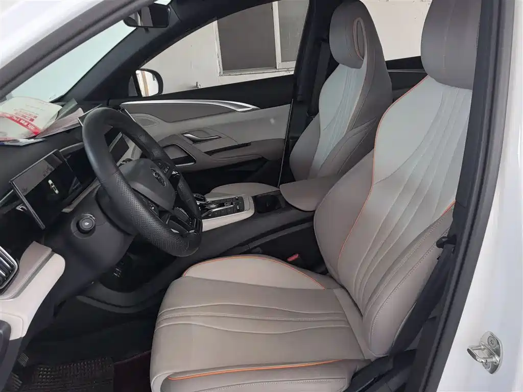 BYD Song Pro New Energy 2023 Champion Edition DM-i 71KM Pilot Model фото 11