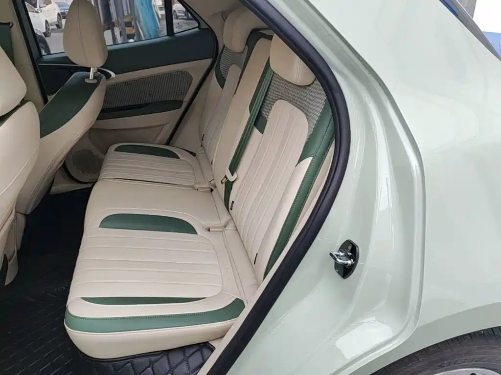 Ora Good Cat 2023 2023 401km Standard Range Premium LFP