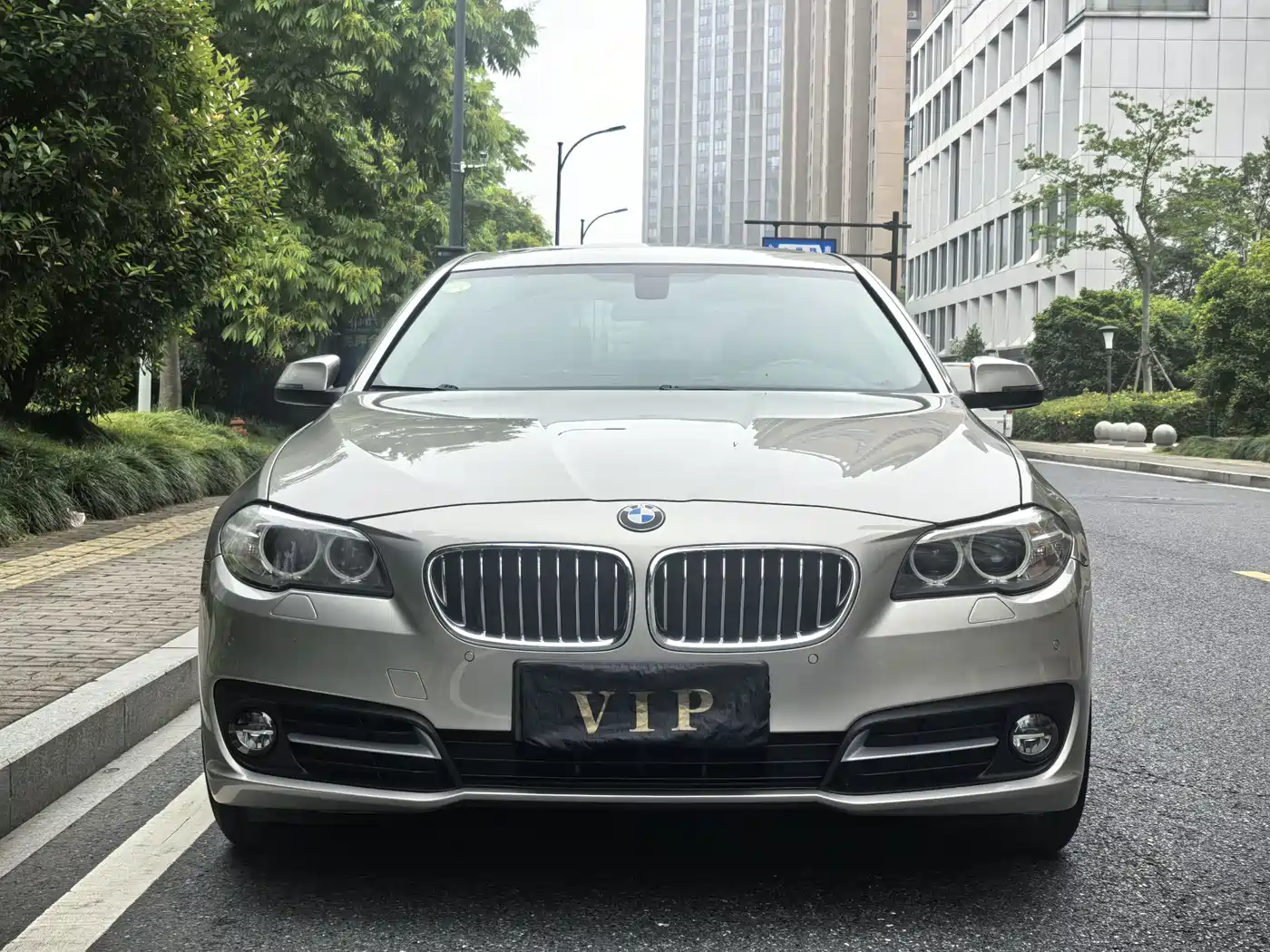 BMW 5 Series 2017 520Li Classic Edition фото 2