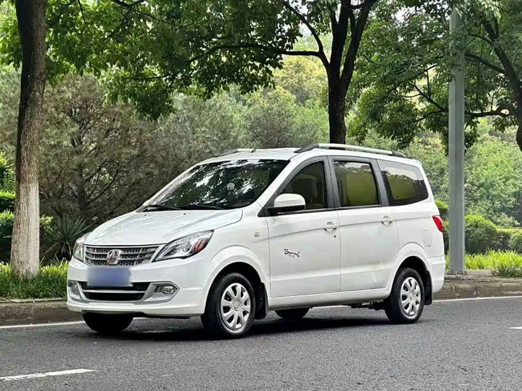 2016 BAIC Weiwang M20