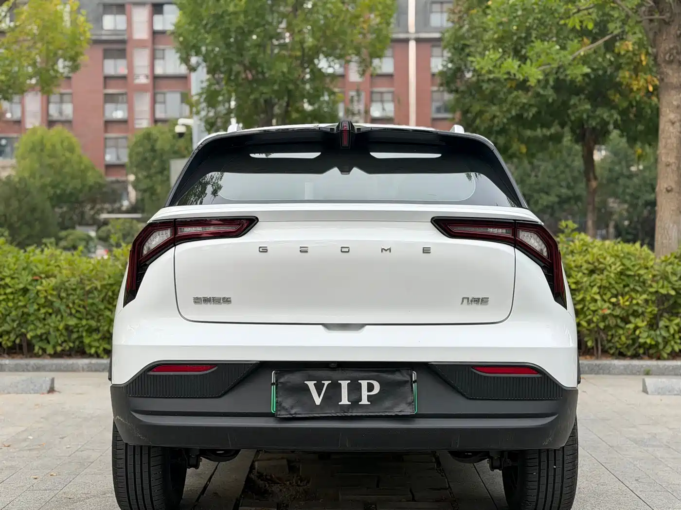 2024 Geely Geometry E Firefly