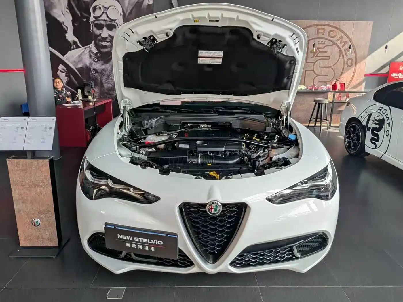 Alfa Romeo Stelvio 2024 2023 2.0T 280HP Veloce Track Edition