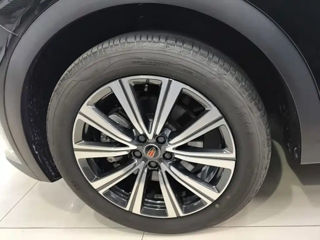 Photo 23 - Hongqi HS7 PHEV
