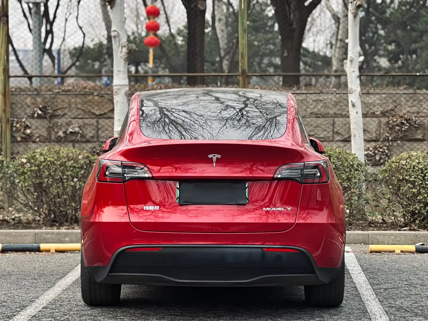 TESLA MODEL Y