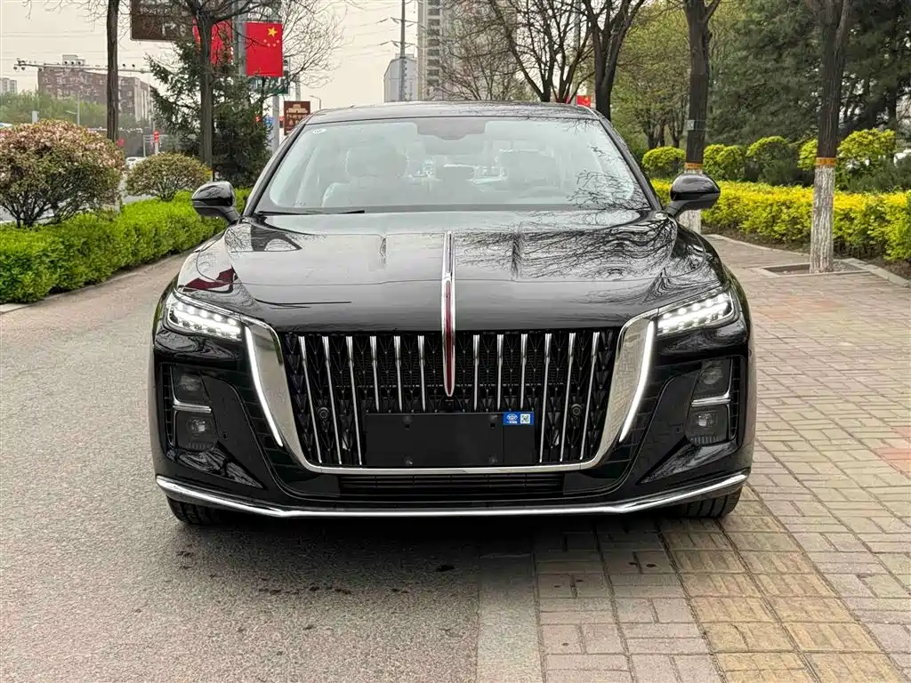 Hongqi H5 2025 1.5T DCT Flag Rhythm 500,000 Units Memorial Edition фото 3