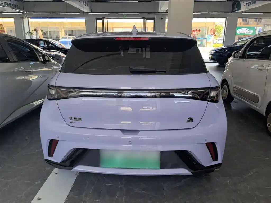 BYD Dolphin 2023 420km Fashion Edition фото 6