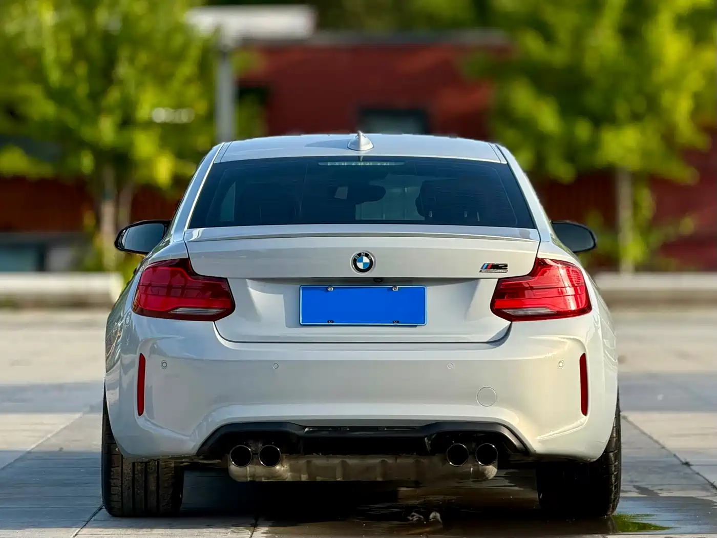 BMW M2 2018 M2 Thunder Edition фото 5