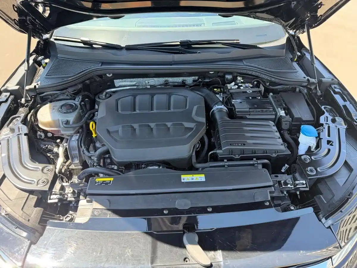 Volkswagen Magotan 2024 380TSI DSG Luxury Edition (Daimai Package) фото 15