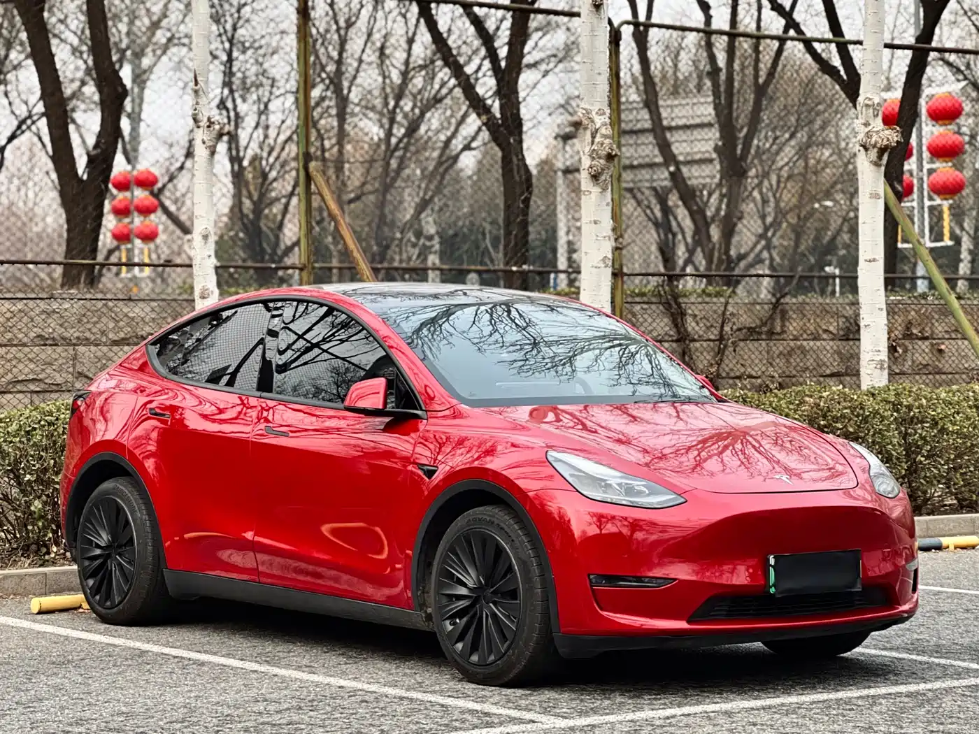 TESLA MODEL Y