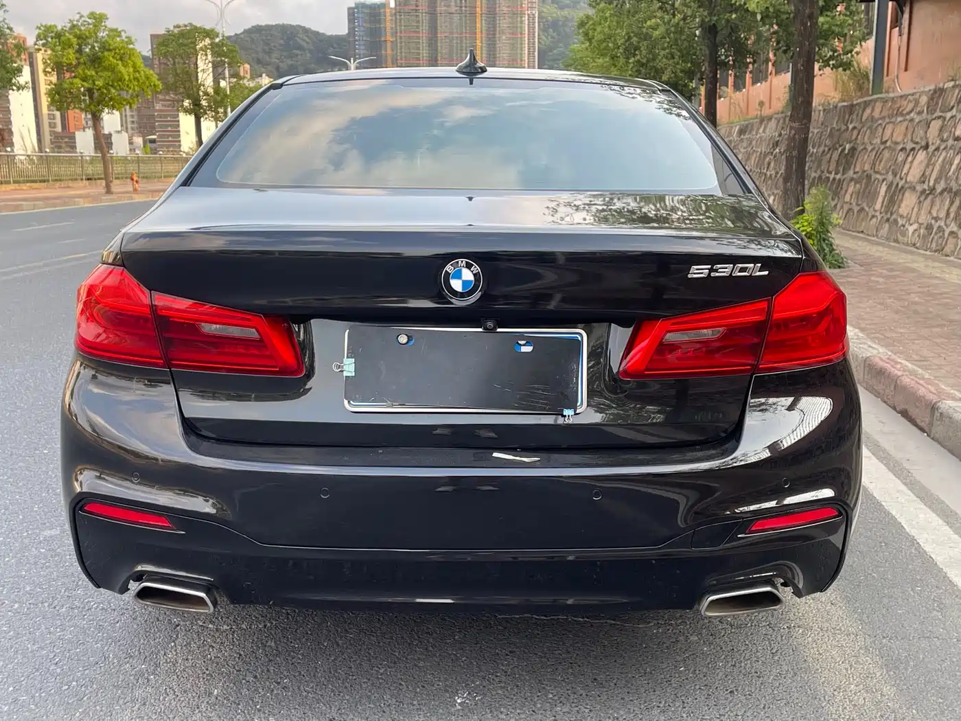 BMW 5 Series 2019 530Li Premium M Sport Package фото 8