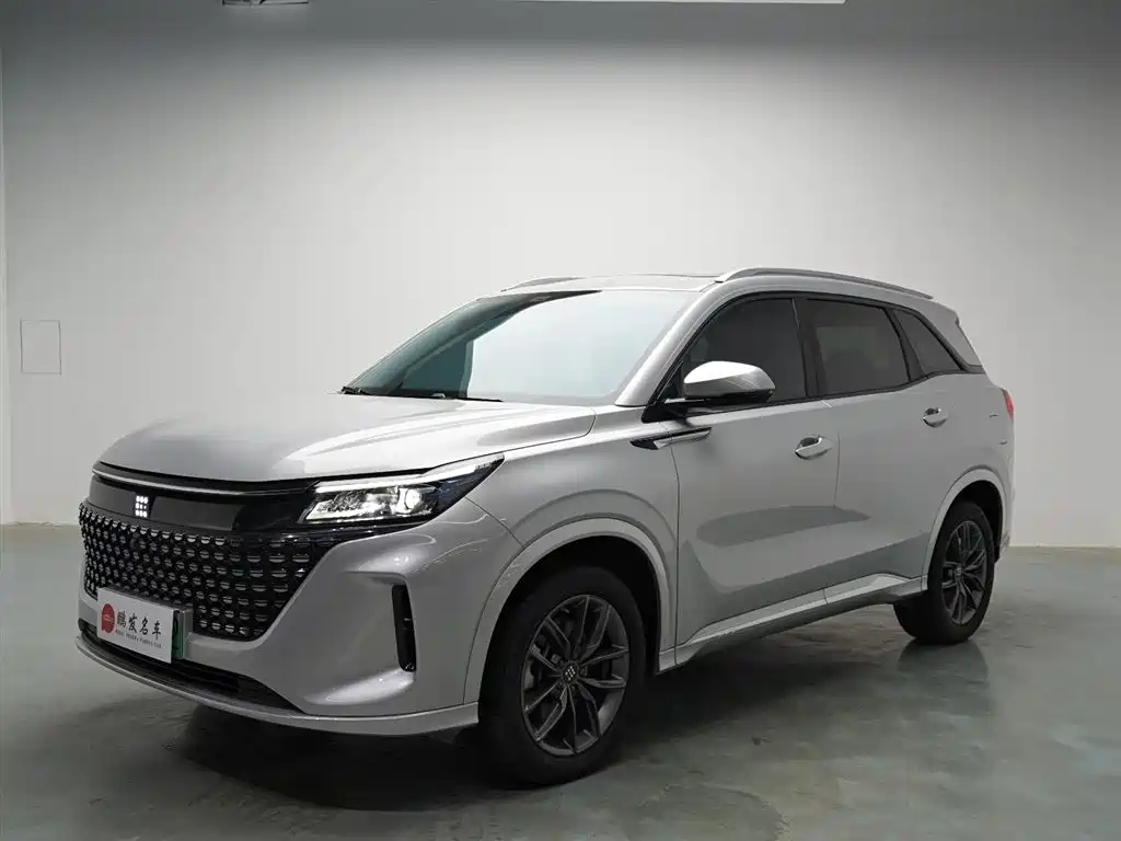 Landian E5 2024 2024 Glory Edition 100KM Comfort Type 7-Seater