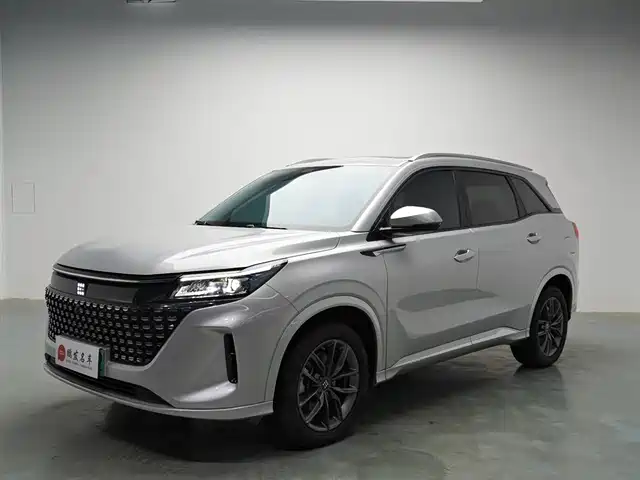 Landian Landian E5 2024 Glory Edition 100KM Comfort Type 7-Seater