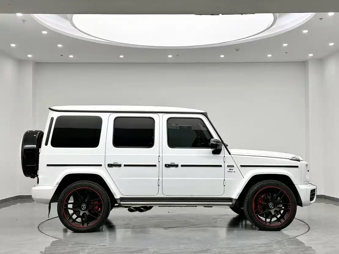Mercedes-Benz G-Class 2019 G 500 фото 5