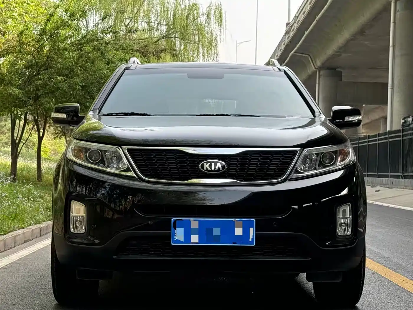 Kia Sorento 2013 2.4L 5-seat Gasoline Luxury Edition фото 2