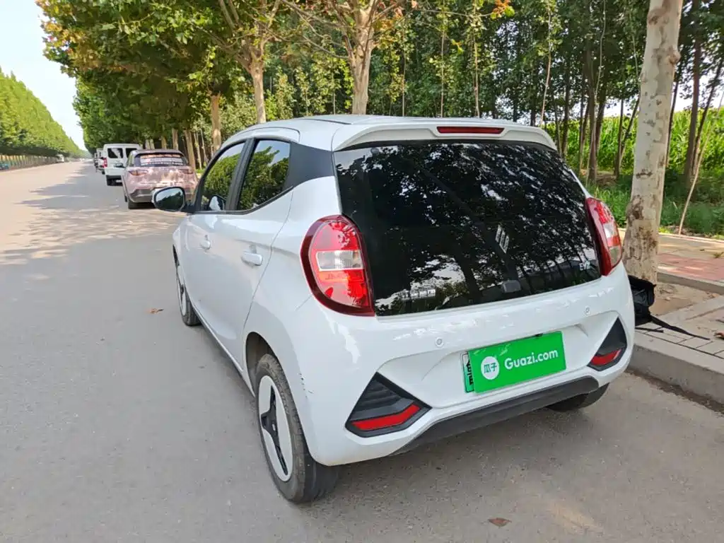 JMCG New Energy Little Kirin 2025 2024 201km Comfort Model